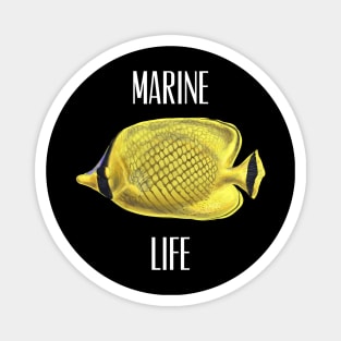 Marine life Magnet